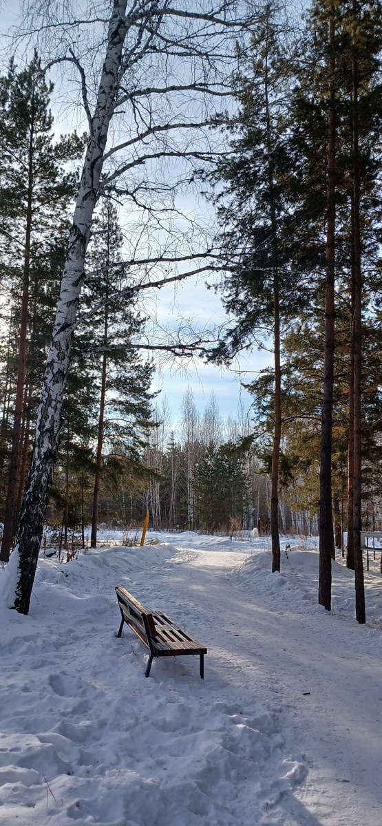 "Доброе утро, мир! Ты прекрасен!" Фото автора