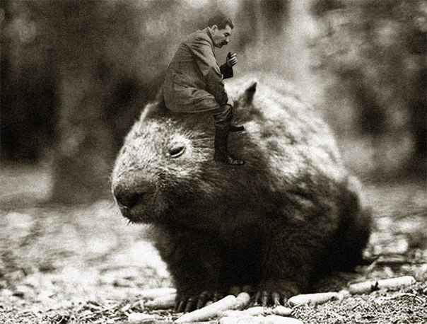 Сталин и Всювласов