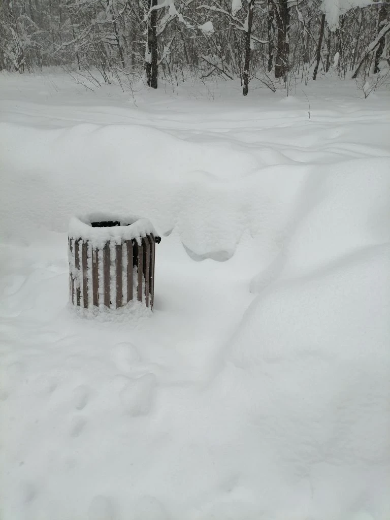 Не только дороги чистят, но и около урн , чтобы мусор кидали куда надо