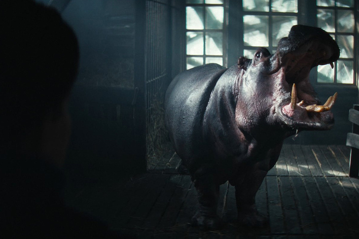    Кадр из фильма "Красавица"   
Вольга