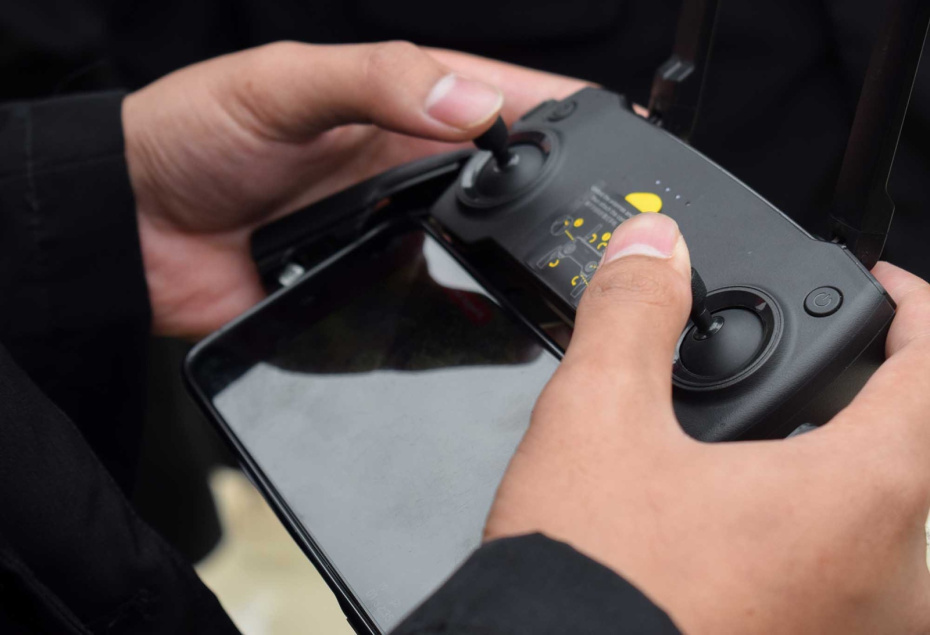    Shutterstock/FOTODOM