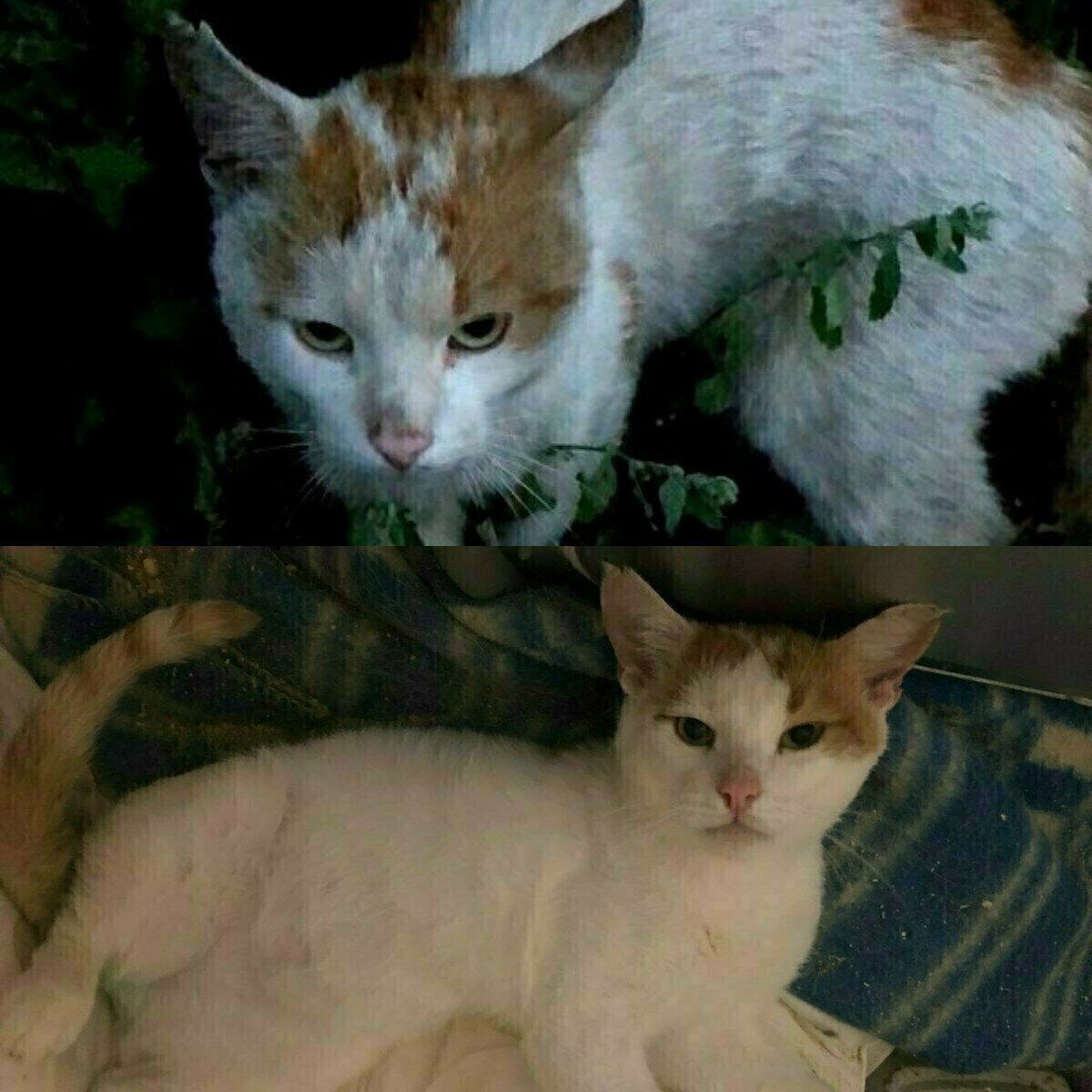 Боинг на улице и через год