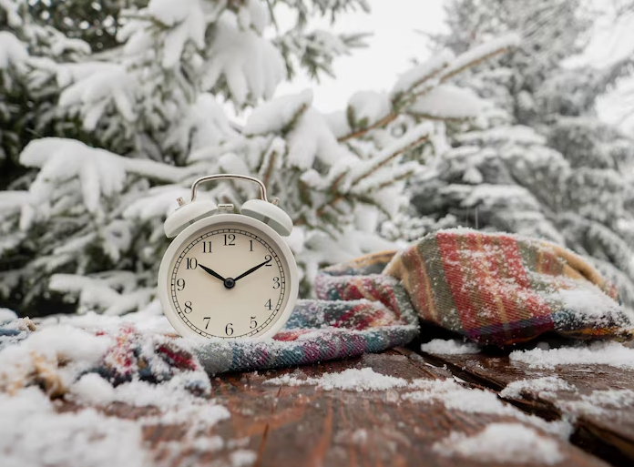 картинки Яндекс