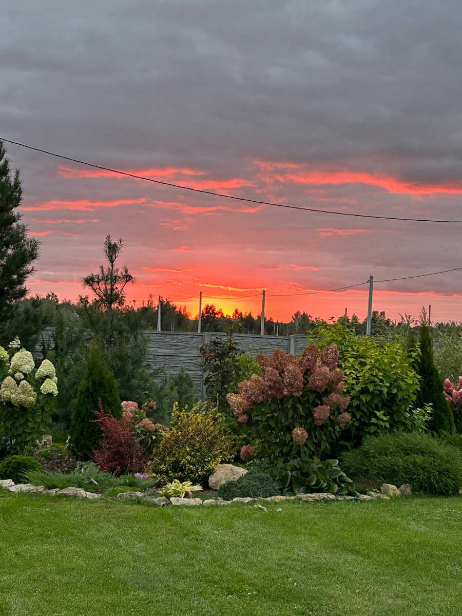 Закат в нашем саду. Фото Мой второй сад