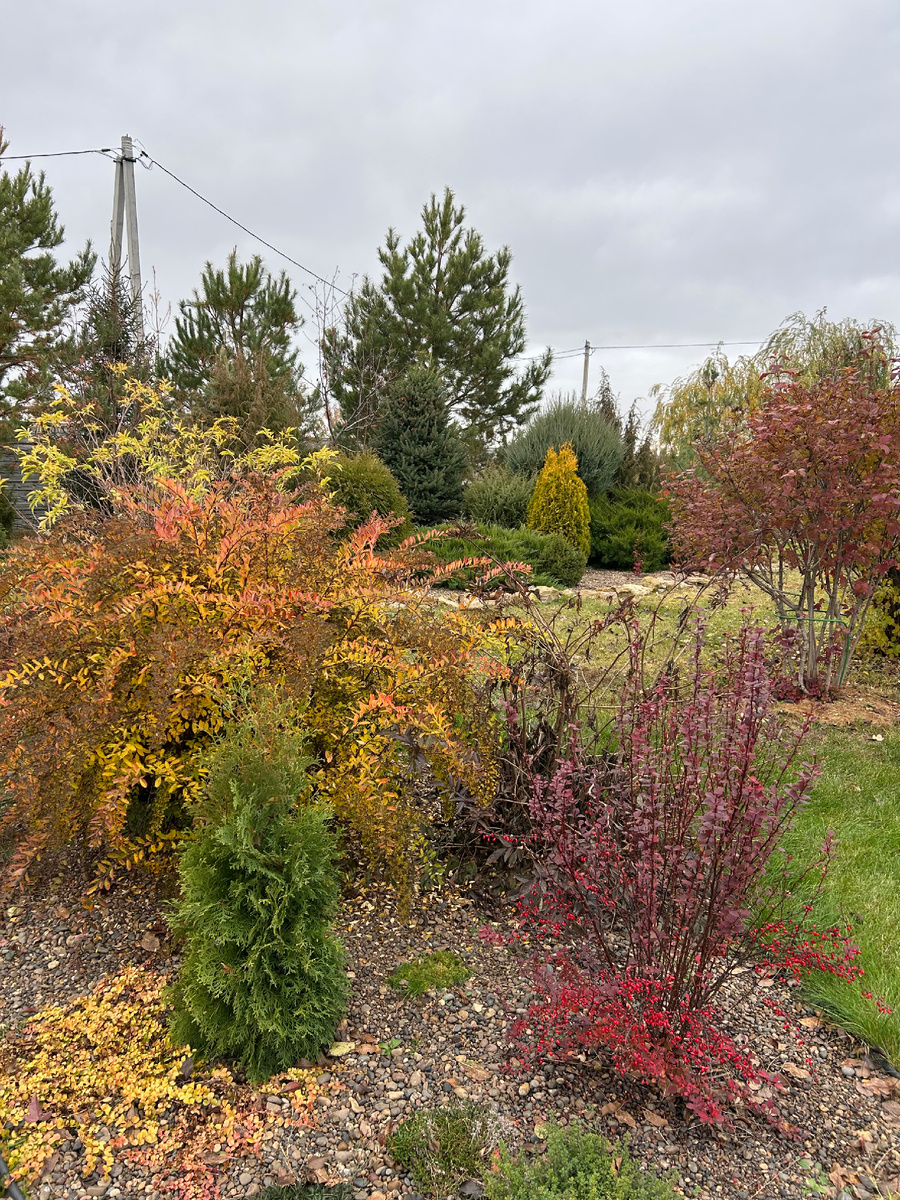 Наш сад осенью. Фото Мой второй сад