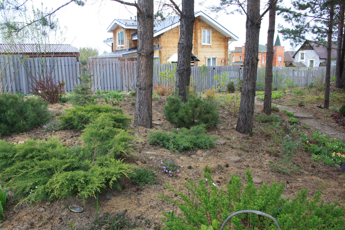 нижняя часть 2025 год