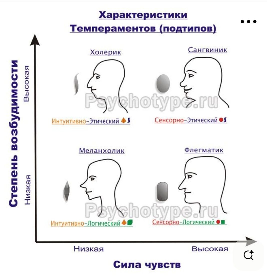 Продолжим разговор про интуицию. Какой же канал развит конкретно у вас? Не задавались таким вопросом, ведь познавать себя это самое интересно, что есть в этом мире. Что бы ответить на этот вопрос, давайте пойдем вот каким путем. Сначала  определим, какой у вас темперамент.
Темперамент — это врожденная совокупность устойчивых индивидуальных психофизиологических особенностей, определяющих динамическую, эмоциональную и скоростную сторону психической деятельности человека. Это биологический фундамент, определяющий темп реакций, скорость приспособления к среде и силу эмоциональных переживаний. 
Основные характеристики темперамента включают:
Эмоциональность: скорость и сила эмоционального реагирования.
Активность: общая подвижность, интенсивность действий.
Пластичность/ригидность: скорость адаптации к изменениям. 
Основной темперамент не меняется в течение жизни и не характеризует социальную ценность личности (хороший/плохой), а описывает, как именно человек действует. Учение о темпераменте зародилось в Древней Греции благодаря врачу Гиппократу (V век до н. э.). Считается что от рождения, физиологически в нас наиболее четко проявлен один из темпераментов, и это можно проследить по физиогномическим признакам. Однако в течение жизни, под воздействием окружающей среды людей и обстоятельств мы можем развивать свойства других темпераментов. 
Продолжим разговор про интуицию. Какой же канал развит конкретно у вас? Не задавались таким вопросом, ведь познавать себя это самое интересно, что есть в этом мире. Что бы ответить на этот вопрос, давайте пойдем вот каким путем. Сначала  определим, какой у вас темперамент.
Темперамент — это врожденная совокупность устойчивых индивидуальных психофизиологических особенностей, определяющих динамическую, эмоциональную и скоростную сторону психической деятельности человека. Это биологический фундамент, определяющий темп реакций, скорость приспособления к среде и силу эмоциональных переживаний. 
Основные характеристики темперамента включают:
Эмо