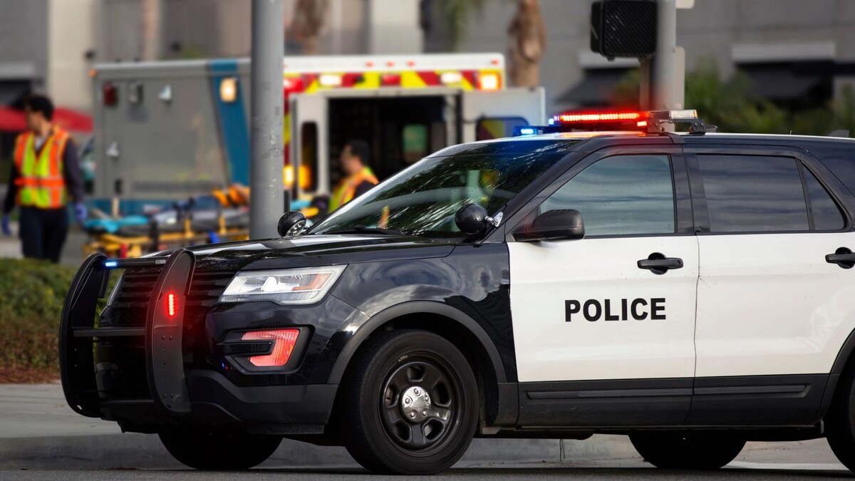    Фото: Matt Gush/Shutterstock/Fotodom