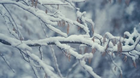 v 47.8 - искренняя радость