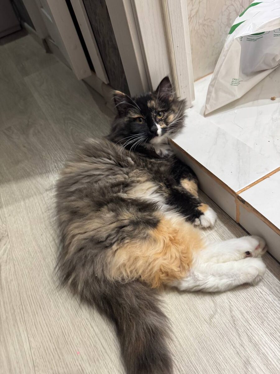 По дому она периодически не ходит, а буквально летает...