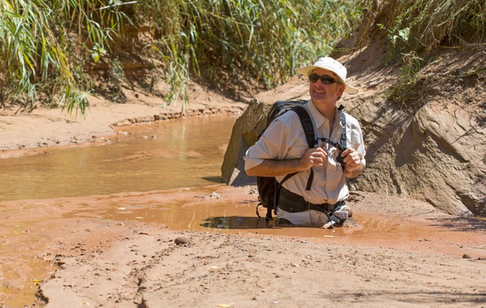 Это уже вполне реальная фотография