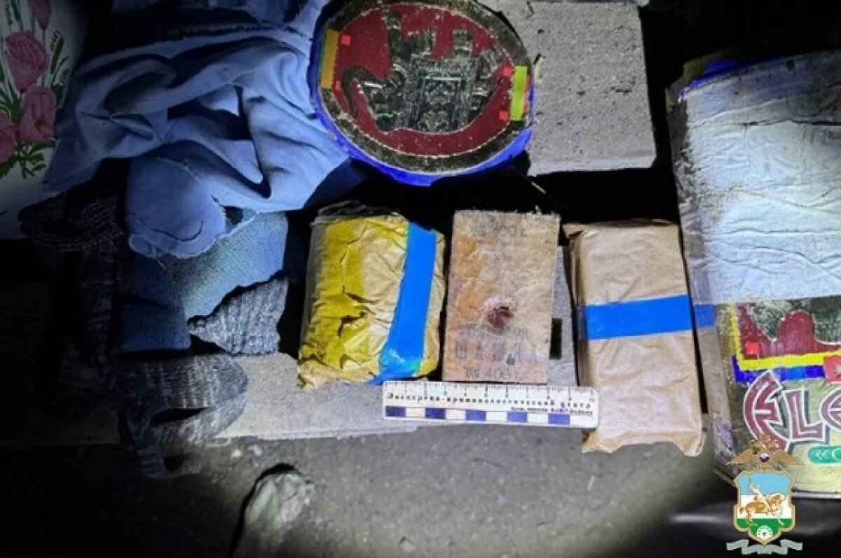    В Башкирии арестовали мужчин за хранение тротиловых шашек