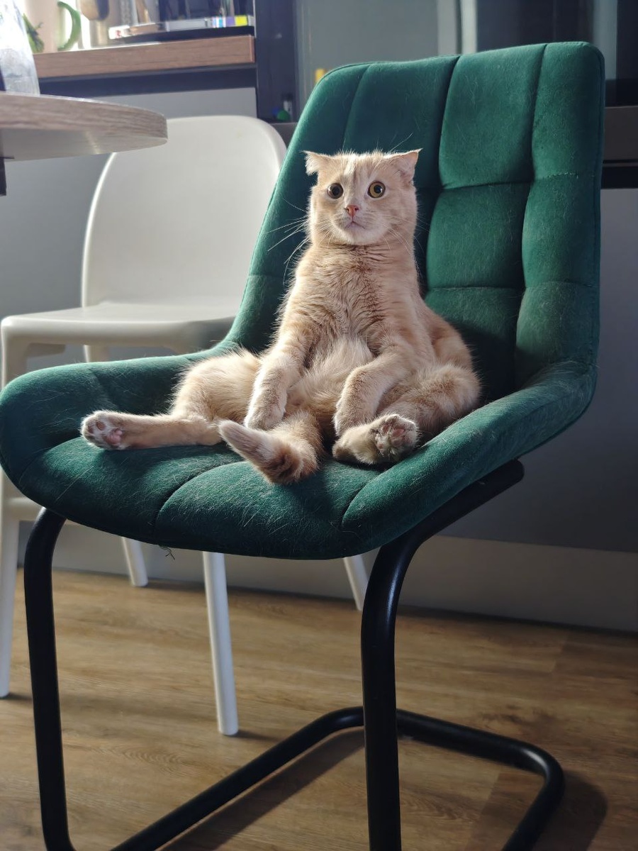 Фото из личного архива автора