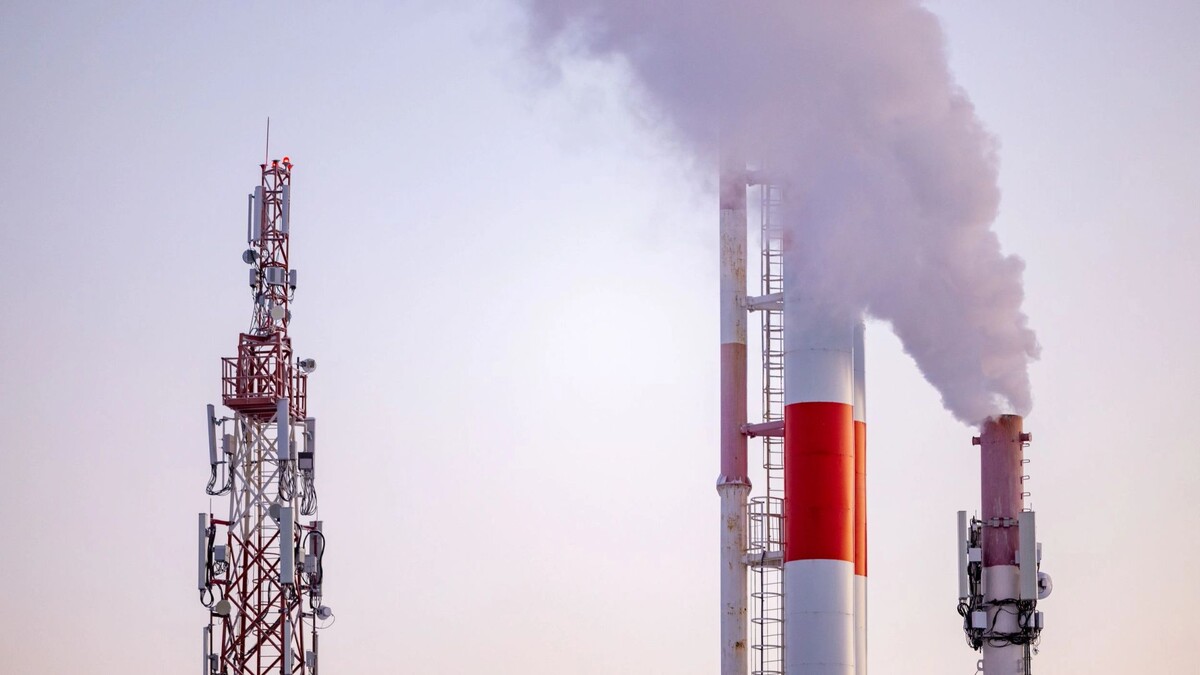    Фото: Сергей Зубков / «Ямал-Медиа»