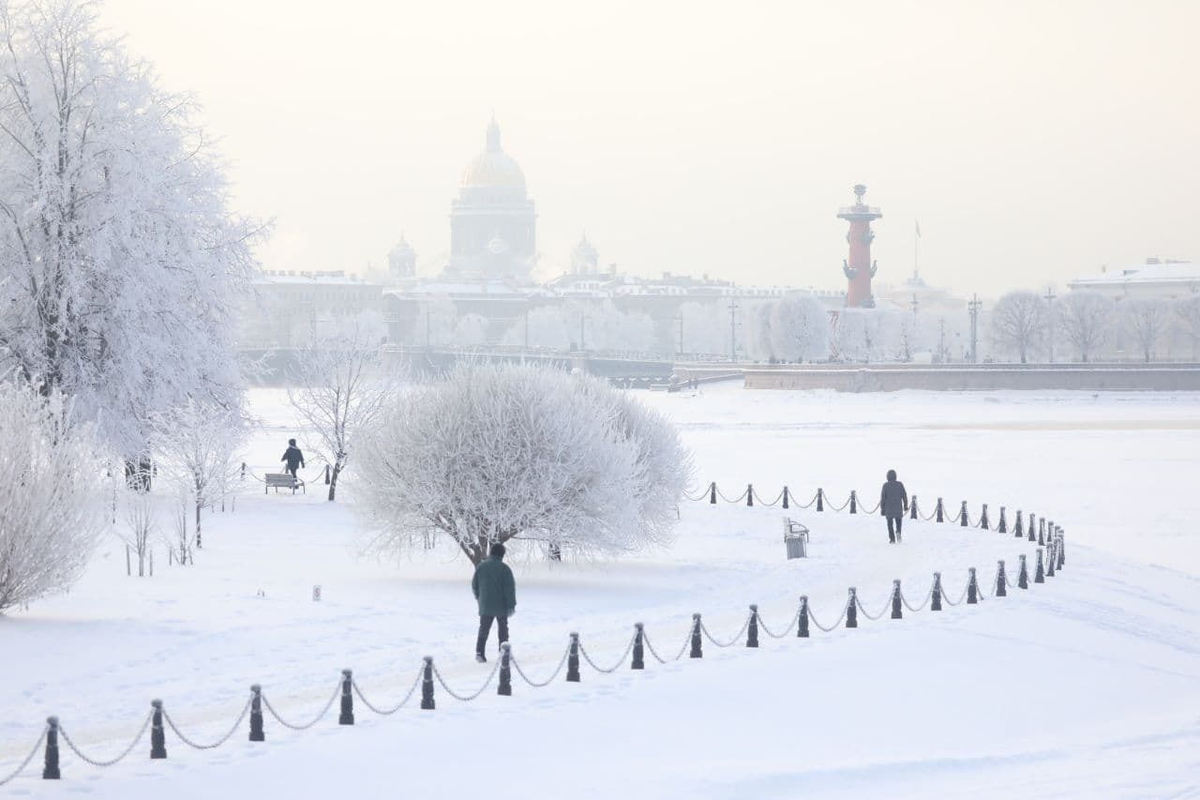 Александр Глуз / «Петербургский дневник»