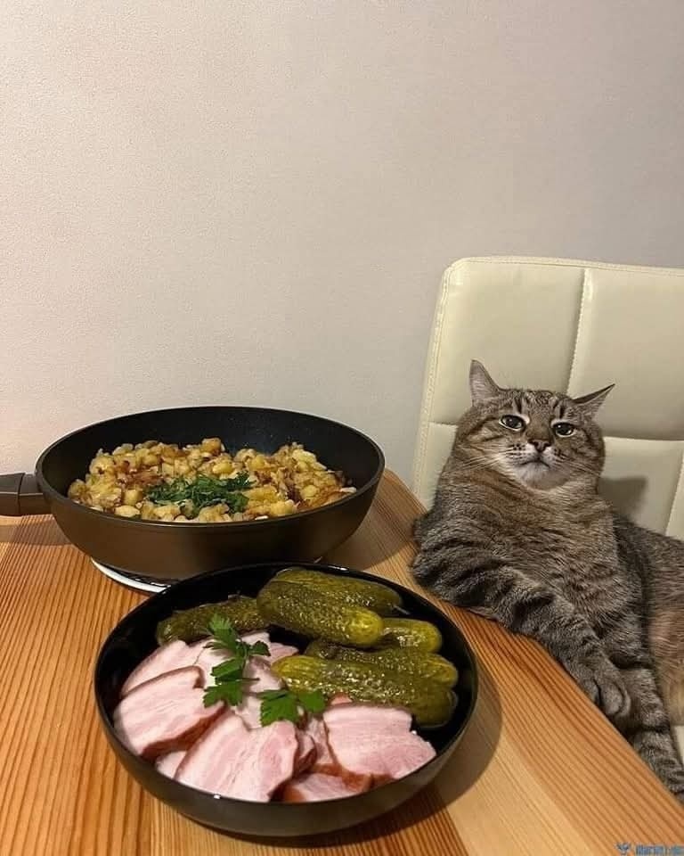 иллюстрация из яндекс картинки.