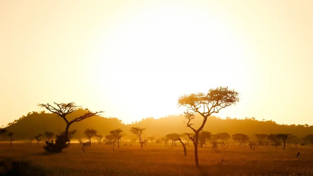    Фото: shutterstock