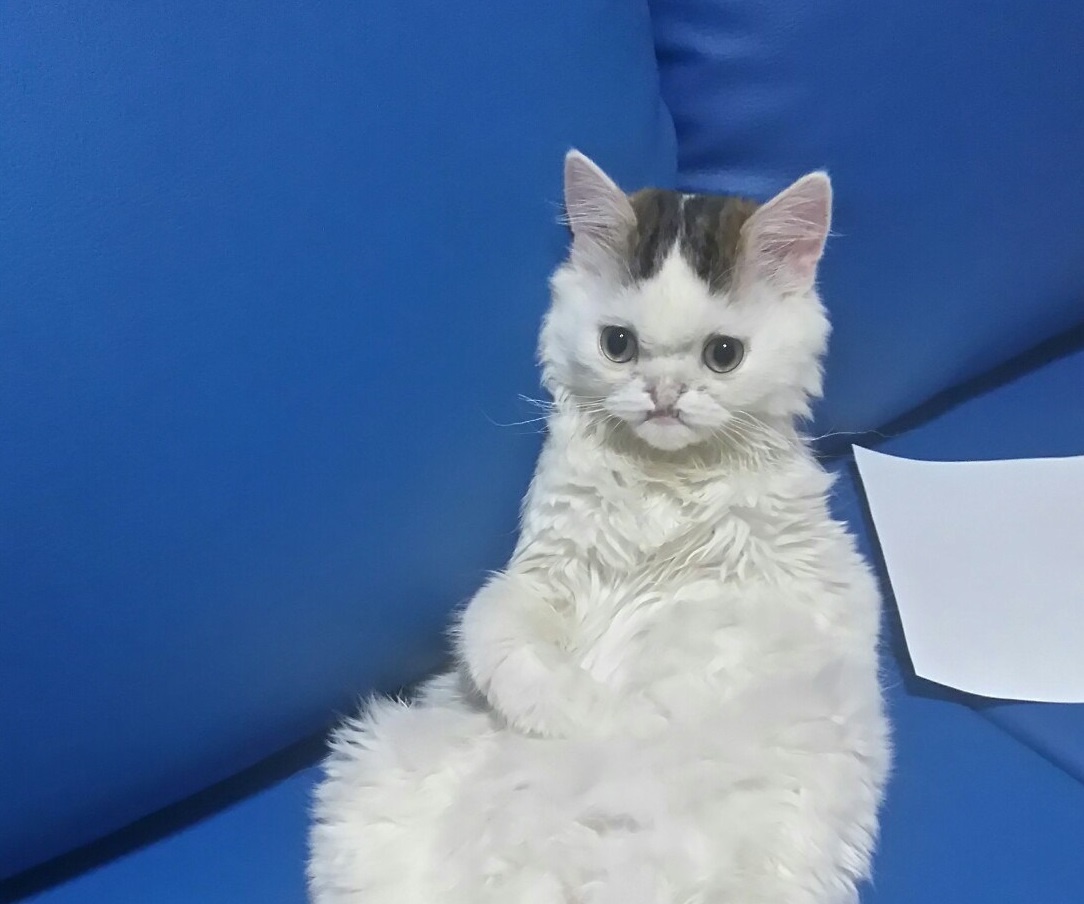 Фото из личного архива Марии и Владимира Помеловых / предоставлено для публикации hornews.com