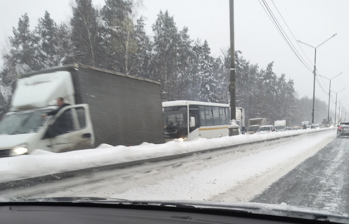 Фото автора. 