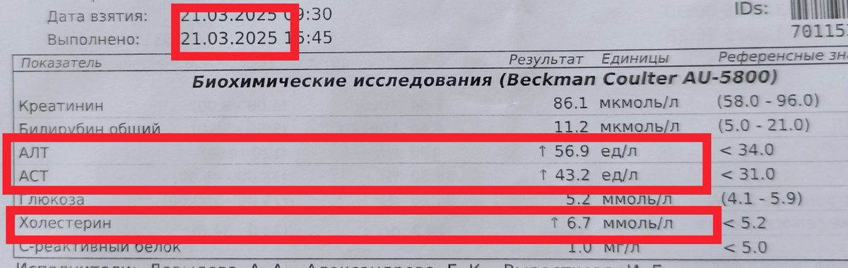 АЛТ, АСТ и холестерин повышены