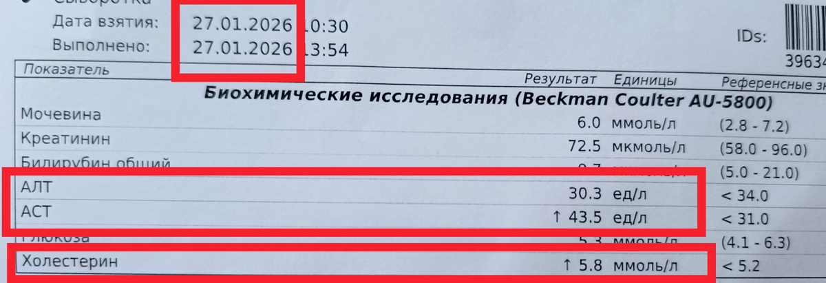 АЛТ в норме, АСТ и холестерин повышены