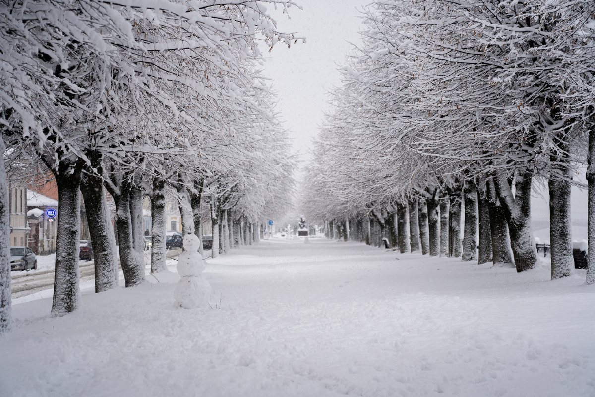 Фото: Андрей Зубов/РИА Верхневолжье