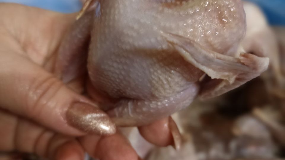 Сегодня будет борщ с перепёлками!