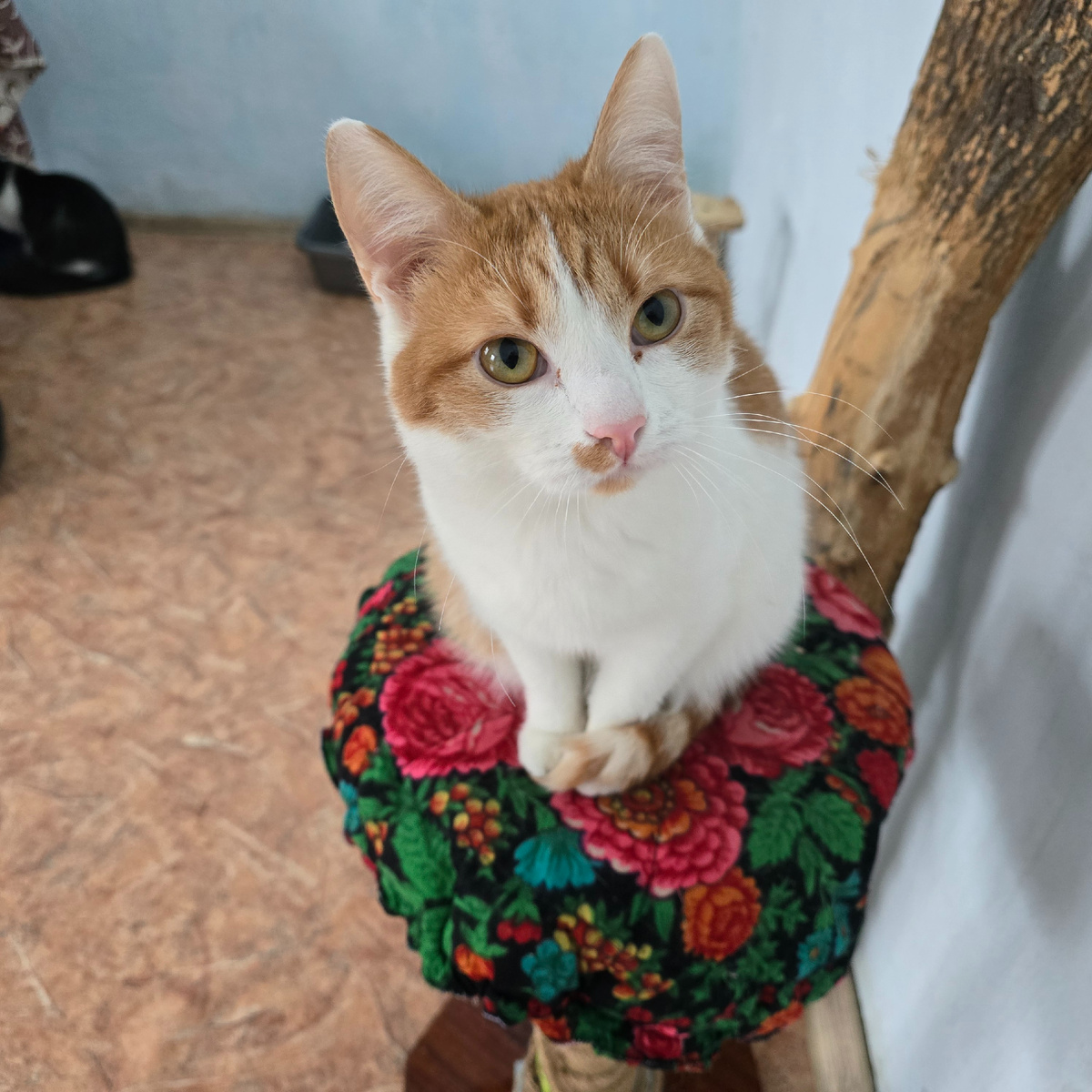 красивая душа