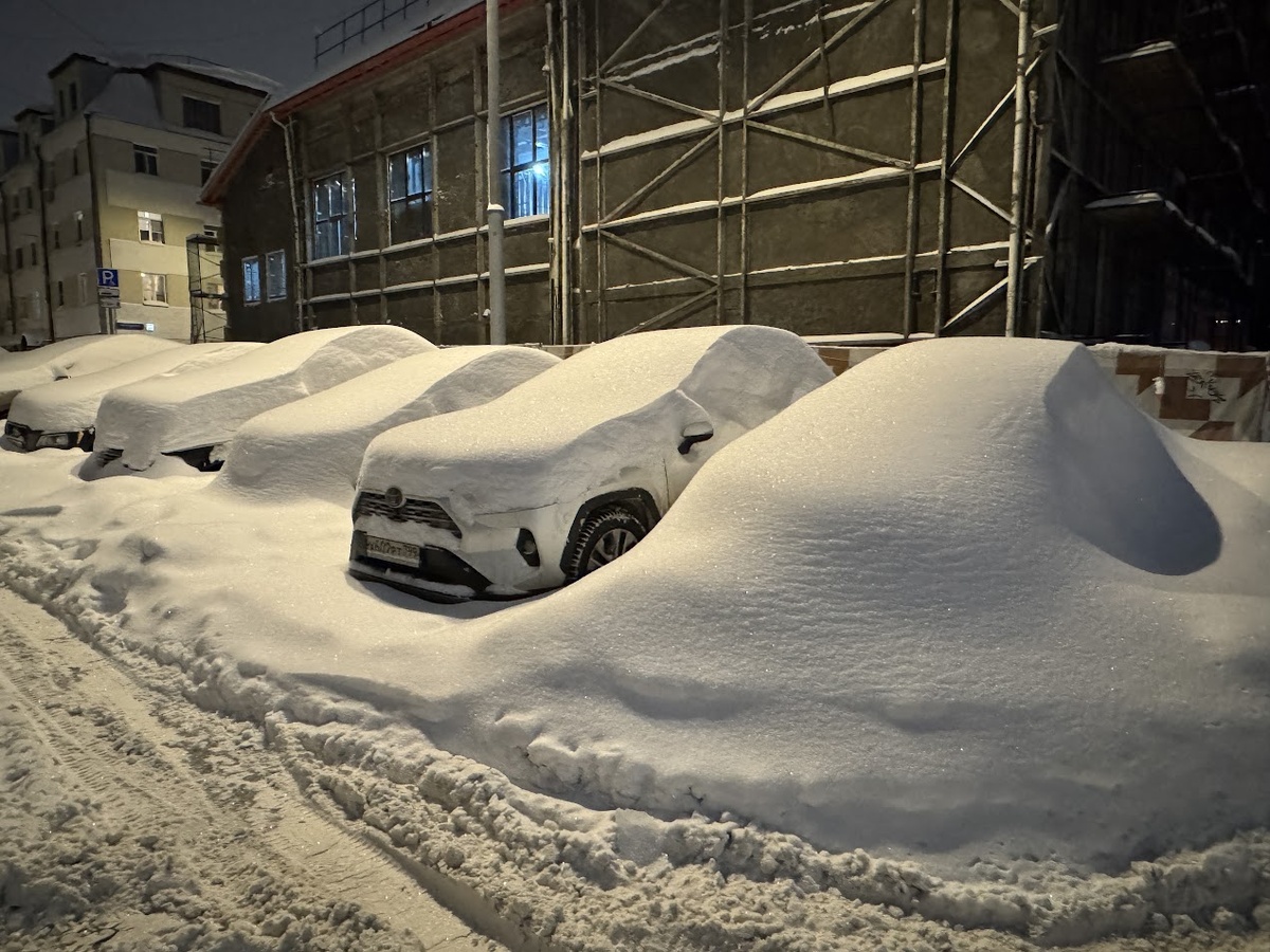 Многие решили оставить свои авто видимо до весны)