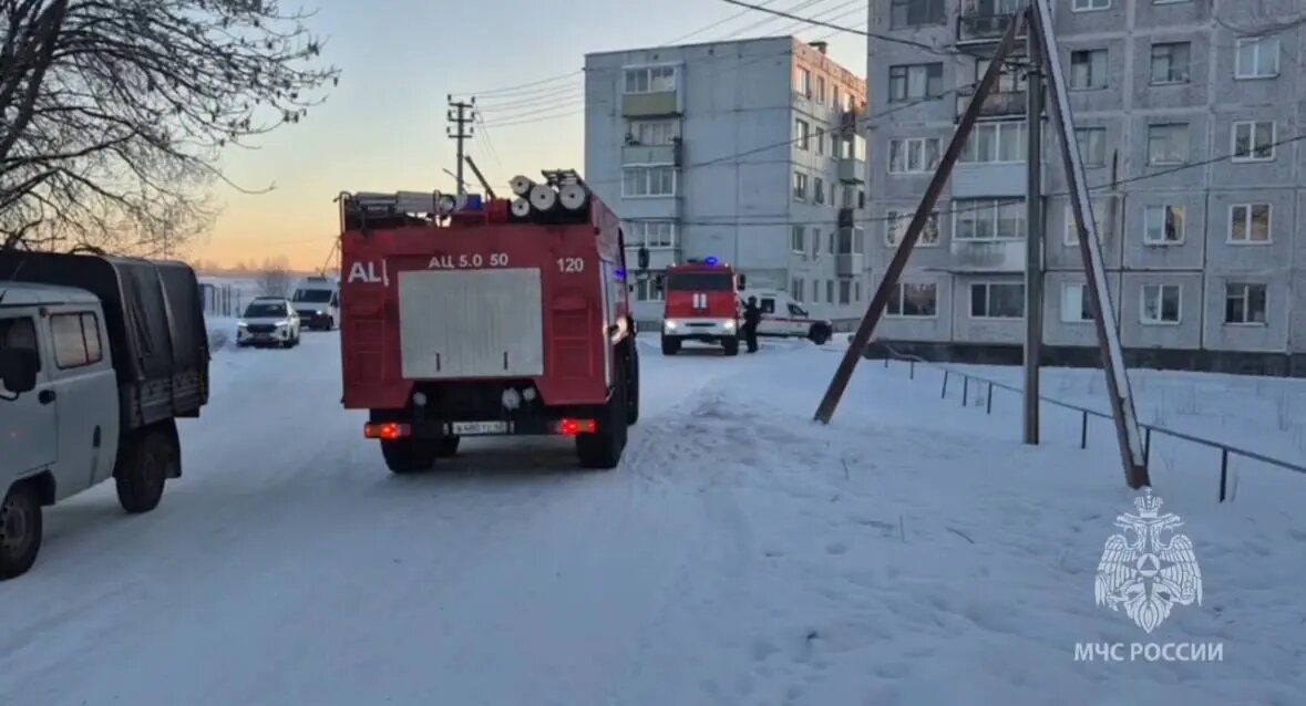    Фото: скриншот видео пресс-службы МЧС РФ по Ленобласти