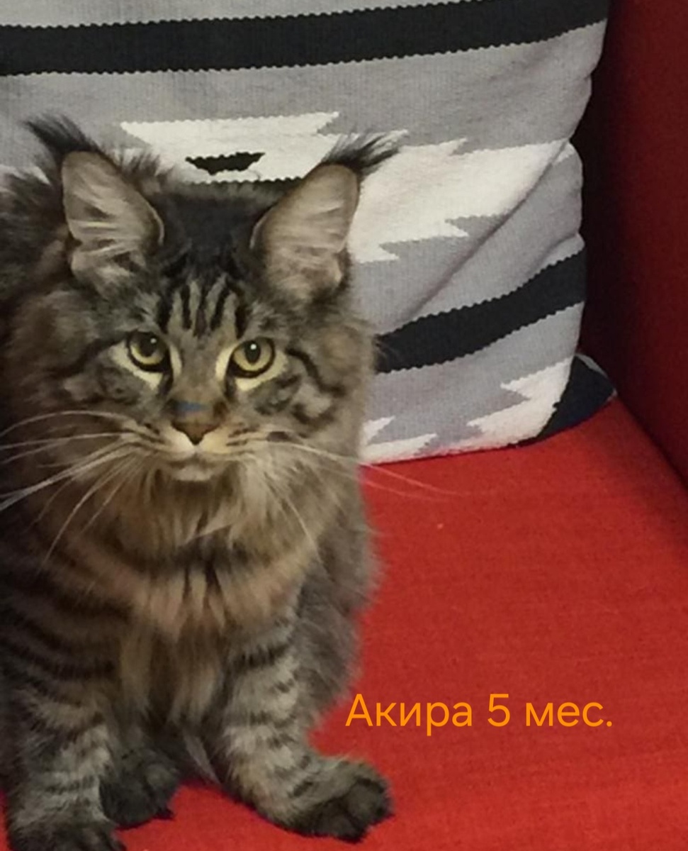 Автор фото Л.Баева