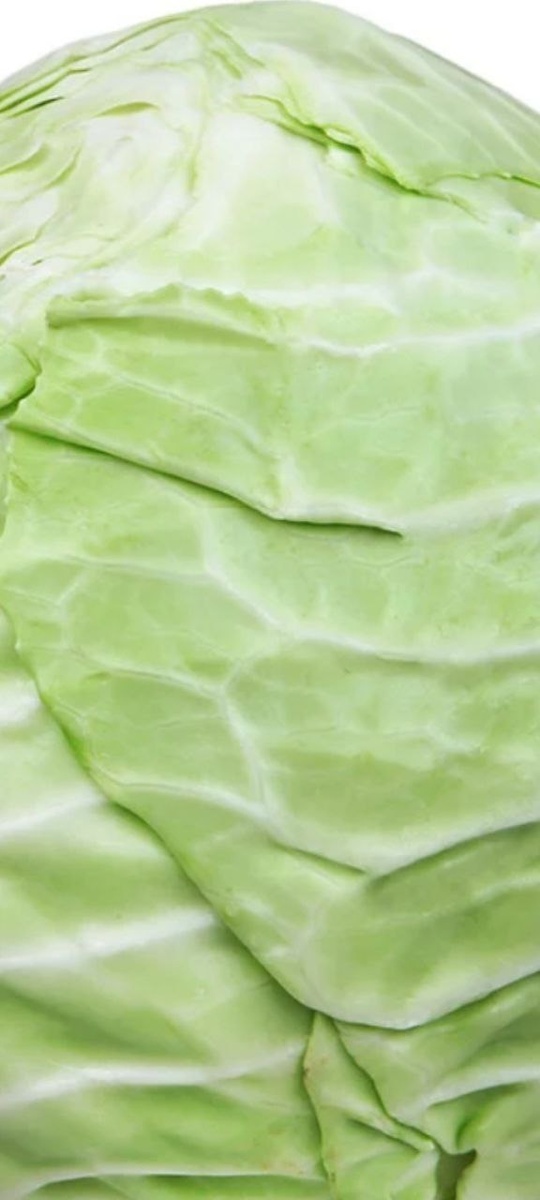 "королева" зимней кухни - капуста тушеная 