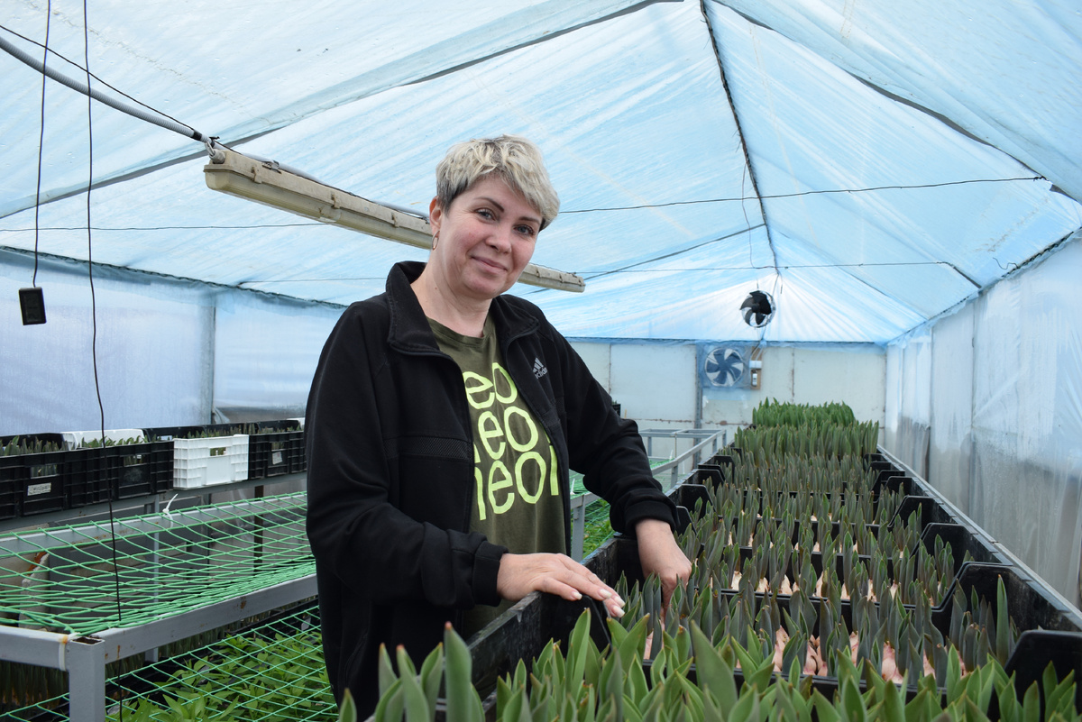 Елена Биндер в своей теплице.