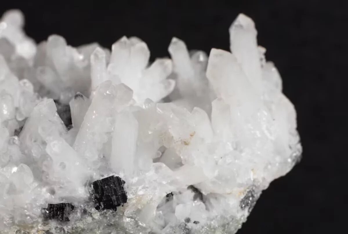    Житель Камчатки продает в интернете «необработанный алмаз» за полмиллиона