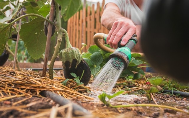 Источник фото shutterstock.com