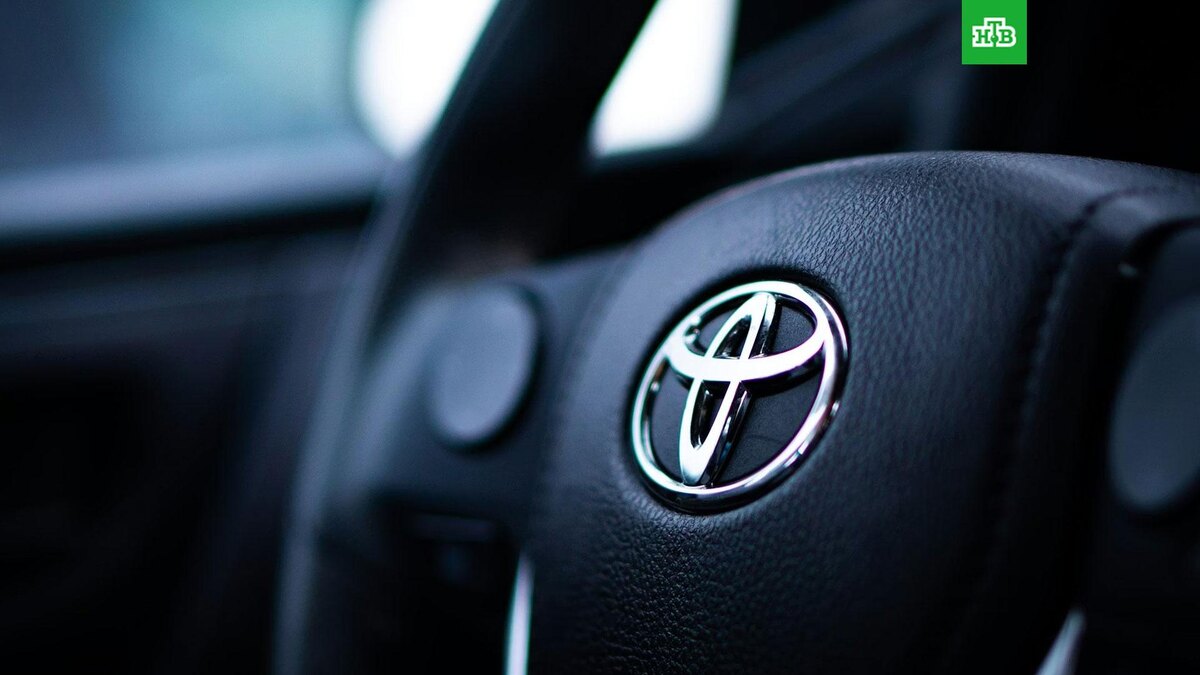    Фото: Christina Telep / unsplash.com