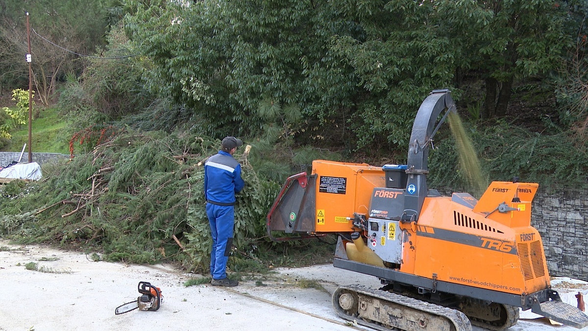    Фото: пресс-служба администрации города Сочи