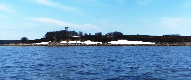 Остров Песья луда