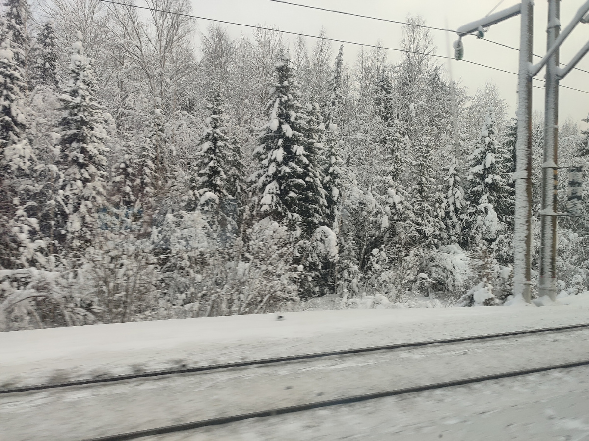 Крепитесь люди, скоро лето. К нам наше лето обязательно придет.