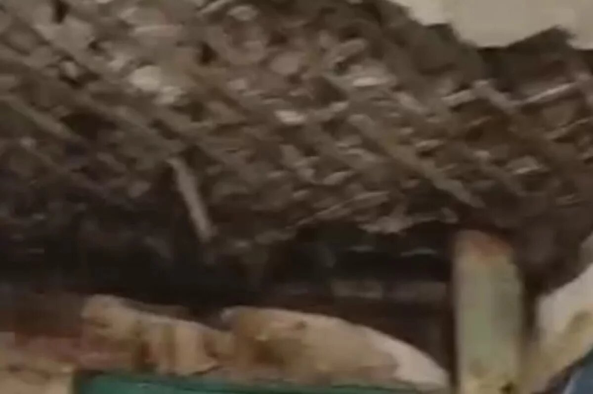    В Уфе потолок в доме рухнул, когда там был ребенок