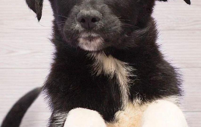 🆘 Тимошку придержали до воскресенья! СРОЧНЫЙ поиск семьи! 🆘