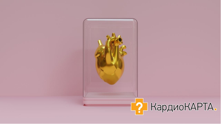 Источник фото: freepik.com