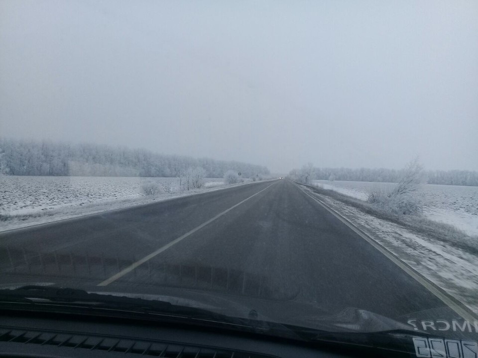    Примерно в 23:30 «Пежо», за рулем которого находилась 27-летняя женщина, вылетел в кювет, где врезался в дерево. Алексей СЕРГУНИН