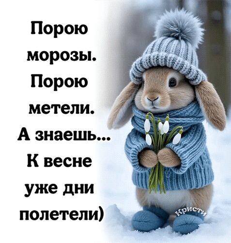 Яндекс картинки 