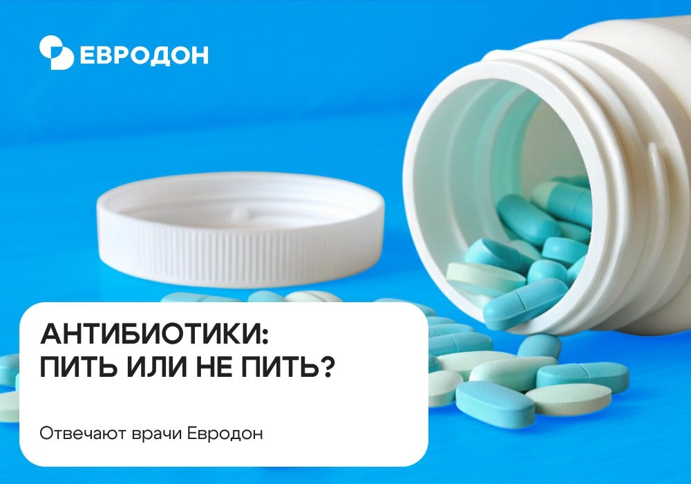 https://eurodon61.ru/about/articles/antibiotiki-pit-ili-ne-pit/