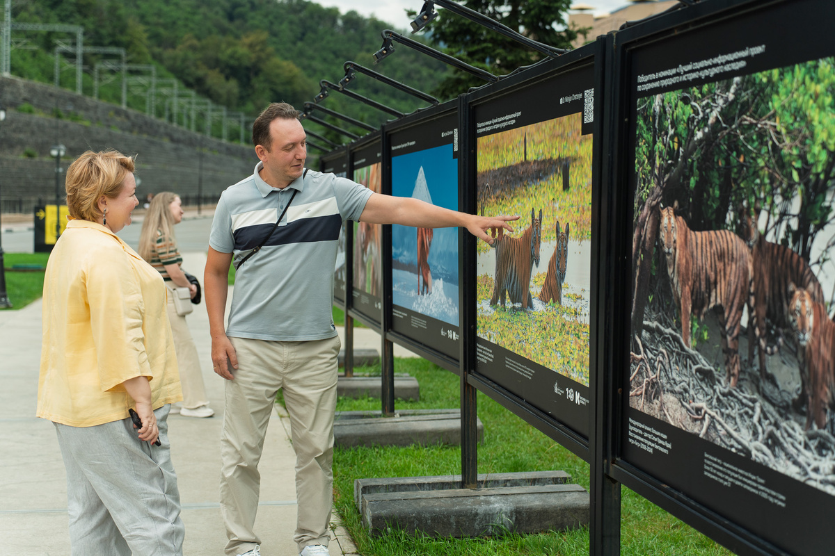 Выставка «Хрустальный компас. Планета героев». Фото: курорт Красная Поляна