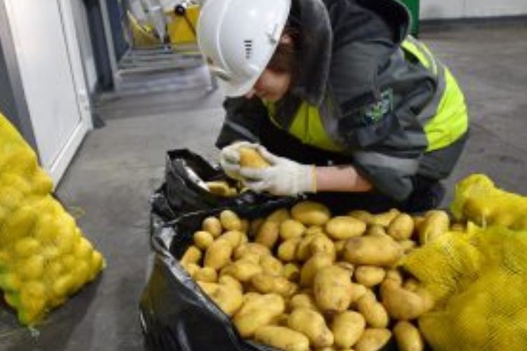    Фото: Приморское межрегиональное управление Россельхознадзора
