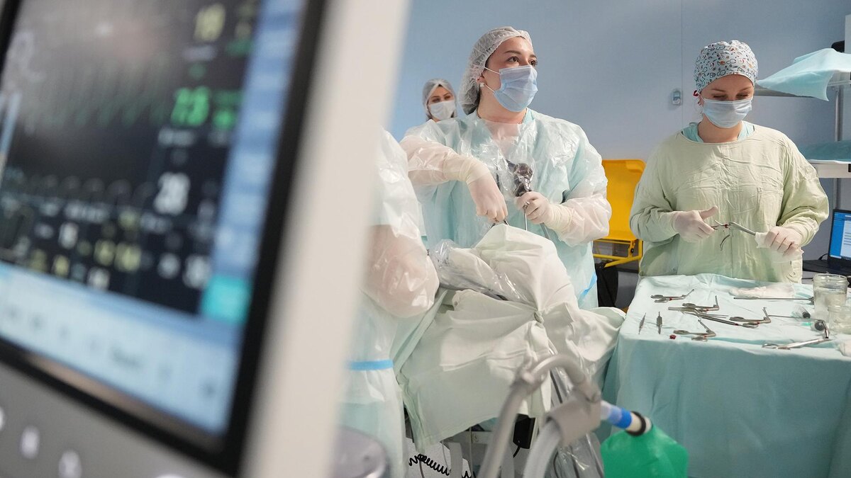    Фото: ИЗВЕСТИЯ/Дмитрий Коротаев