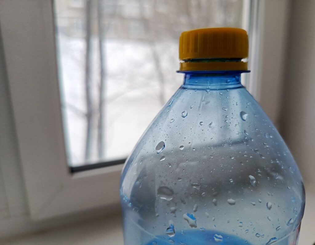    Фото: В курсе.ру Ульяна Бажанова