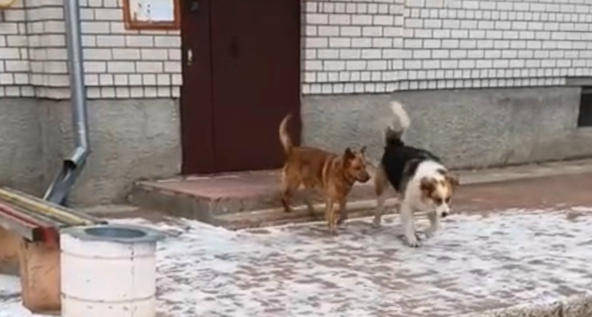    Прокуратура Ярославской области